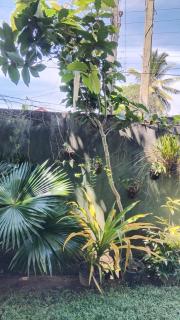 Serene Haven Villa - Batapola - 8