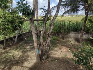 Casa temporada jauá ba 7 qts, 200 MTS praia - 2