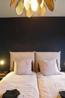 Ecolodge 4étoiles Luxe, détente et balnéo dans la forêt - Métairies-Saint-Quirin - 2