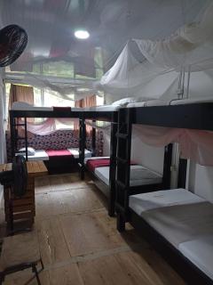 Hostal Las Mariposas Minca - Minca - 7