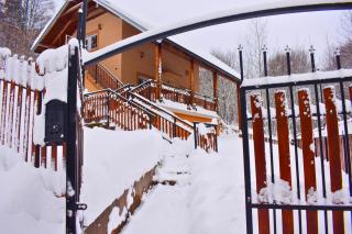 Villa Povlen - Mini bar, Hot tub, Bazen, Ozvučenje u srcu šume - Prokići - 3
