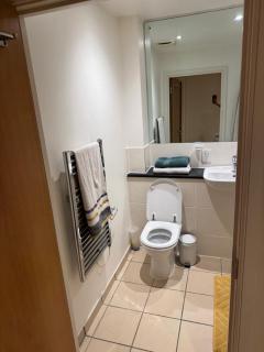 1- Bed Flat with Easy Access to Bow Station - Londra - 2