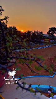 Hotel Vijay Greens - Orchha - 1