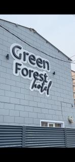 Green Forest Hotel - Pavlodar - 2