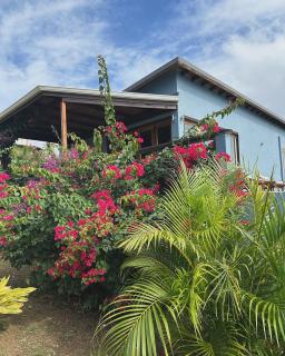 Paradise Factory St Lucia - 2