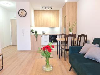 Loft 24 Apartament - prywatny parking nawet na samochody dostawcze, f-ra VAT - Szczecin - 3