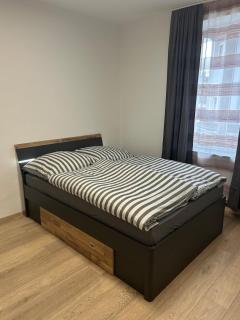 1 Zi Whng LÖ-City mit Küche - Lörrach - 5