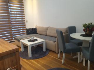 Apartman Green Lux - Balkan Hil 1 - 2