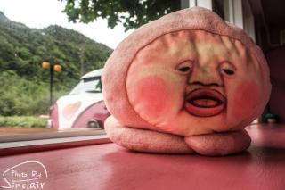 幸福月光民宿 Evening Sun - 1