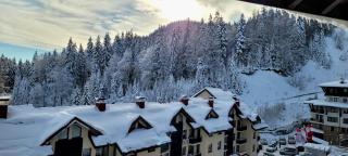 Penthouse - Travel Haven - Pamporovo - 8