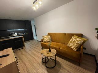 Apartament Piłsudskiego - Tychy - 8