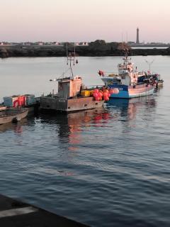 L ancre marine - Penmarcʼh - 1