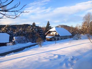 The Wood Nest Apartment - Borovnica - 0