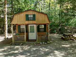 Abrams Creek Campground - Mount Storm - 1
