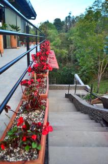 Monteverde Best Inn - HOTEL - Tenza - 3