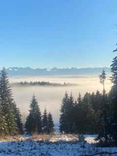 Apartament w górach Gorce - 6