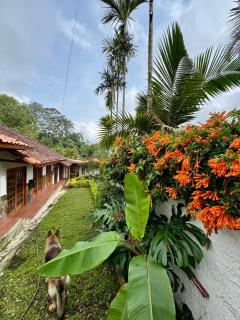 Rincón del Colibrí - La Vega - 1