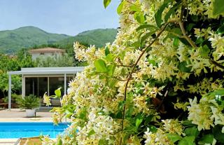 La Residenza del Marchesato - Marano Marchesato - 7