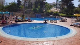 Shining Gold El Dorado with free parking and wifi - Playa de las Américas - 9