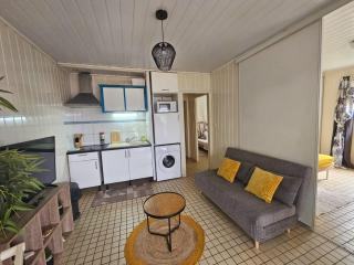 Bungalow - Bouillante - Plage de petite Anse - Bouillante - 8