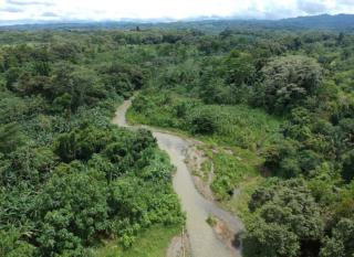 Glamping by the River - Puerto Jiménez - 9
