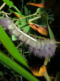 Glamping by the River - 2