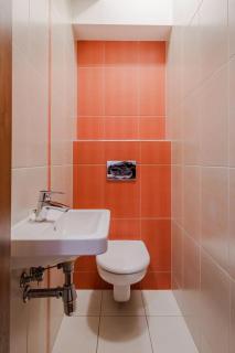 Apartman Lomnica Tatry view C13 - Veľká Lomnica - 6