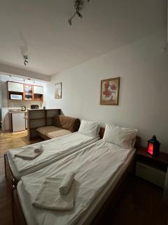 Diamond central 1 - Ohrid - 3