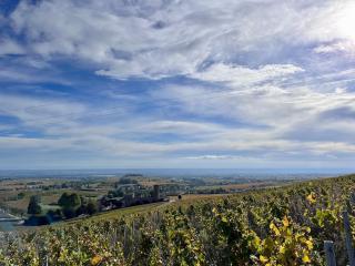 Welcome to Beaujolais - Le Perréon - 1