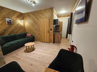 Apartament SKUPNIOWY UPŁAZ - Murzasichle - 5