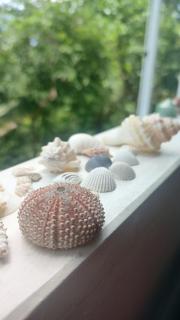 Casa com vista para o mar em Jurerê Internacional! - Florianópolis - 6