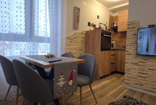 D&D Apartman Jahorina - Jahorina - 3