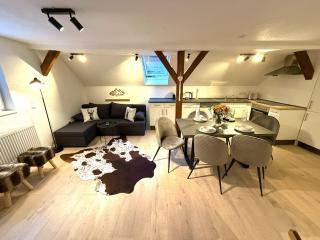 Natur-Apartment am Großen Arber Netflix WIFI - Bayerisch Eisenstein - 8