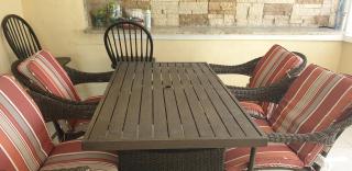 Beach Anchor Palm - 2