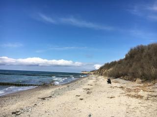Holiday home NurMeer - Ahrenshoop - 1