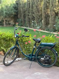 Les jardins d’ailleurs - Marrakesh - 5