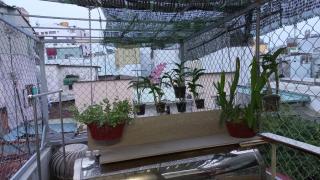 Dorm Bui Vien Sai Gon Stay, Chill, Meet the World - Ho Chi Minh - 7