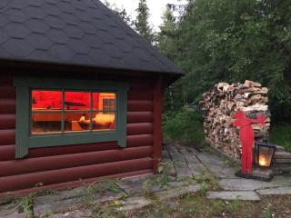 Cabin with large outdoor area - Hamar - 3