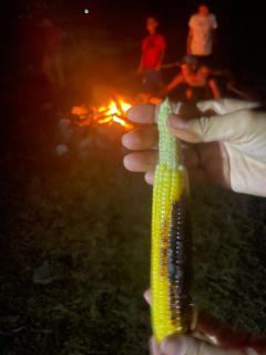 Glamping Jarahuco - Pedernales - 6