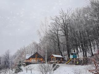 Green Cottage - Râșnov - 8