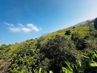 Benny's Home Villa - Idukki - 6