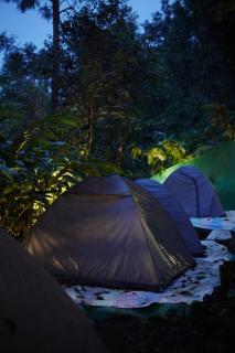 Hidden valley campsite - Meppādi - 0