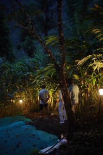 Hidden valley campsite - Meppādi - 4