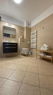 Coresi Spacious and Comfortable, GbWifi, Parking - Braşov - 1