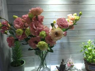 HANA Homestay - Taitung - 3