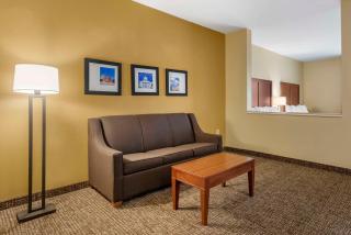 Comfort Suites Montgomery East Monticello Dr - Montgomery - 3