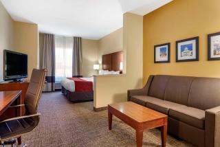 Comfort Suites Montgomery East Monticello Dr - Montgomery - 1