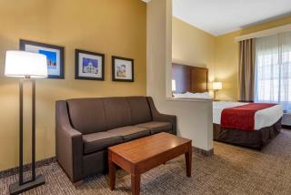 Comfort Suites Montgomery East Monticello Dr - Montgomery - 0