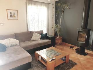 Maison spacieuse face aux Pyrénées - 4