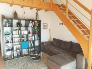 Maison spacieuse face aux Pyrénées - 8